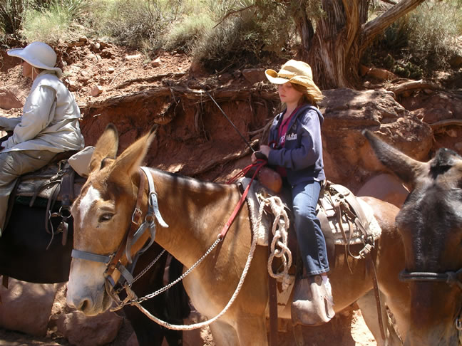 images/A-Mule Ride- returning to the Rim (20).jpg